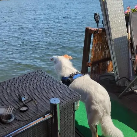 Hausboot Pretty Belinda Wessem
